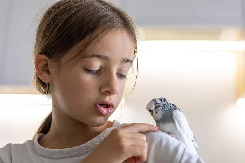 Bird flu symptoms in humans and animals explained. Learn key avian influenza human symptoms and early signs. Act fast, protect your health today.