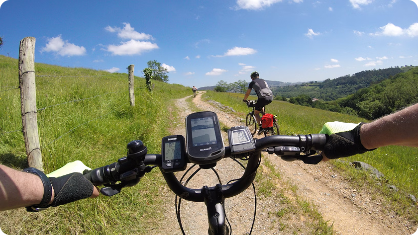 Smart metabolism tracking device analyzing.