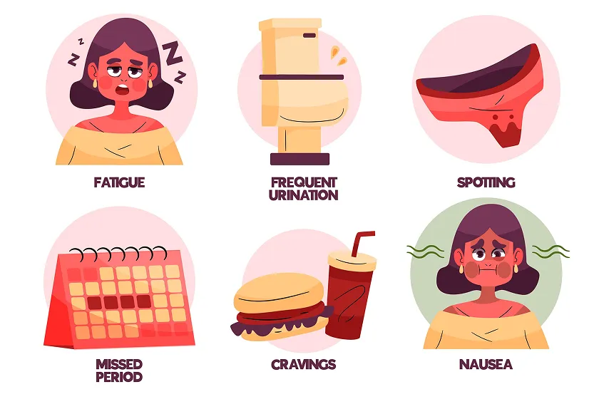 Infographic showing the symptoms of what is constipation, including fatigue, frequent urination, and nausea.
