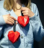 Person holding red heart models to explain heart numbers and what they mean.