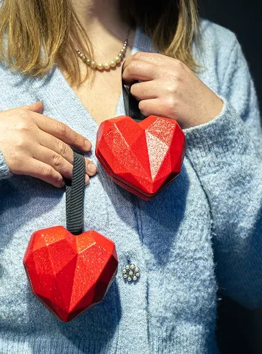 Person holding red heart models to explain heart numbers and what they mean.