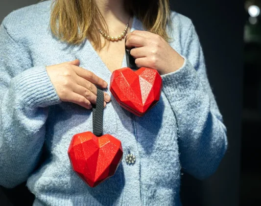 Person holding red heart models to explain heart numbers and what they mean.