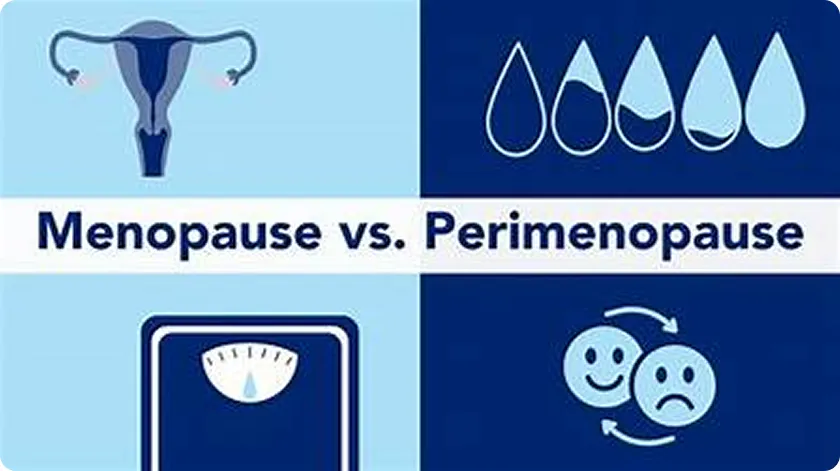Infographic showing symptoms highlighting the difference between perimenopause and menopause.